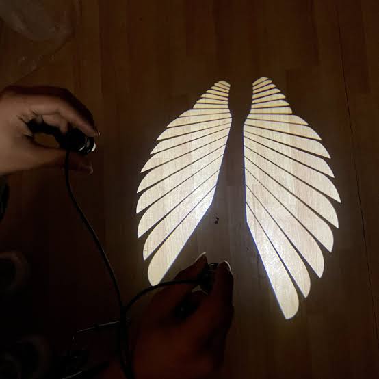 Universal Neon Angel Wings Light for Bike and Car Door Steps (12 V, 5 W) (Pack of 2)
