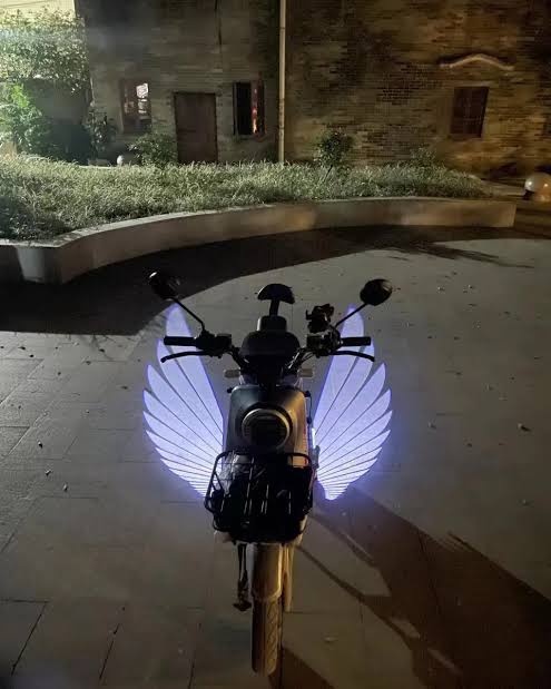 Universal Neon Angel Wings Light for Bike and Car Door Steps (12 V, 5 W) (Pack of 2)