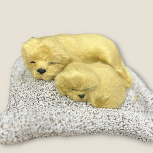 Sleeping Cute Pets for Car Dashboard with Activated Carbon Decorative Showpiece - 17 cm  (Fabric, Feather, Beige)