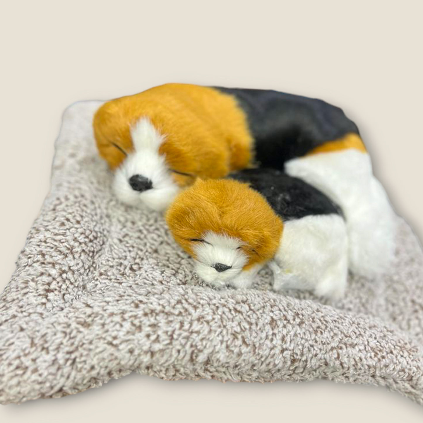 Sleeping Cute Pets for Car Dashboard with Activated Carbon Decorative Showpiece - 17 cm  (Fabric, Feather, Beige)