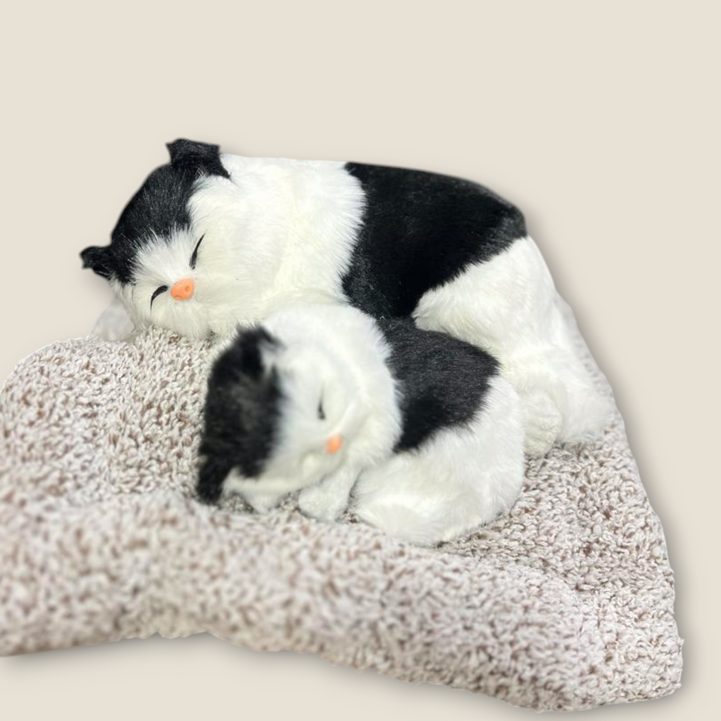 Sleeping Cute Pets for Car Dashboard with Activated Carbon Decorative Showpiece - 17 cm  (Fabric, Feather, Beige)
