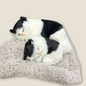 Sleeping Cute Pets for Car Dashboard with Activated Carbon Decorative Showpiece - 17 cm  (Fabric, Feather, Beige)