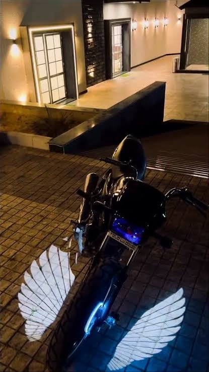 Universal Neon Angel Wings Light for Bike and Car Door Steps (12 V, 5 W)  (Pack of 2)