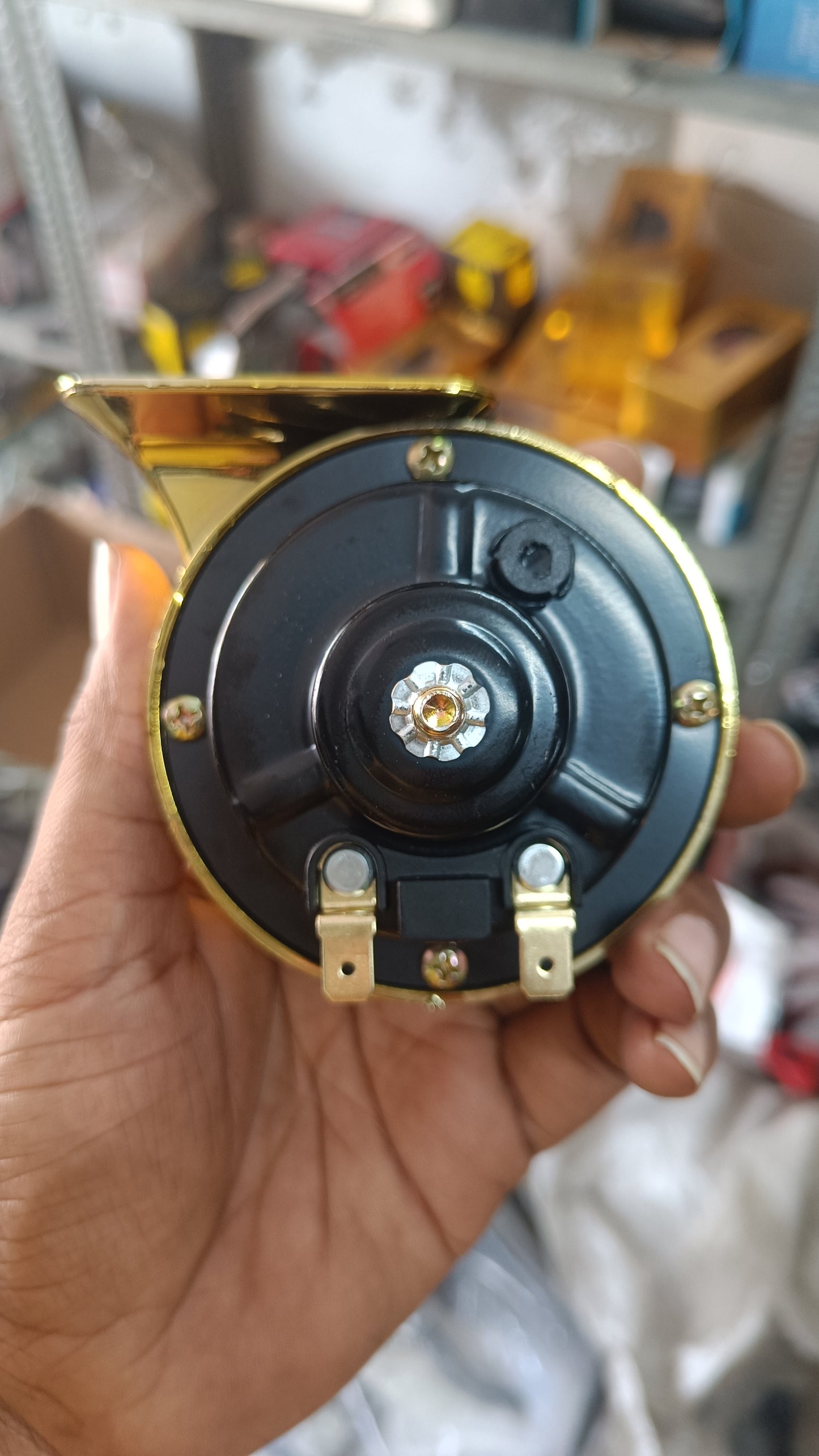KiKarry Golden Polish Chrome Snail Trumpet Horn